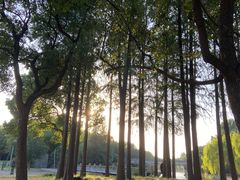 -上海月湖雕塑公园