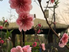 -清远熹乐谷温泉度假酒店
