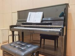 -知音艺术教育培训·钢琴培训·音乐培训(河西金鹰世界校区)