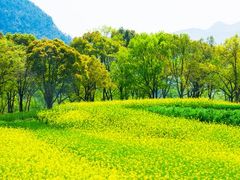 -北戴河集发农业梦想王国