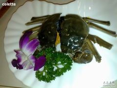 -王宝和酒家(黄浦店)