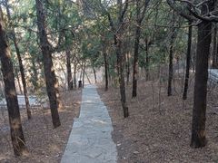 -千佛山风景名胜区