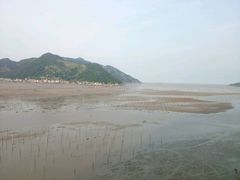 -北岐滩涂