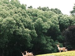 -东方绿舟景区