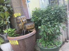 -茶油香闽南菜·花园餐厅(前埔店)