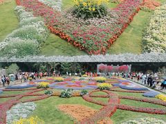 -深圳仙湖植物园