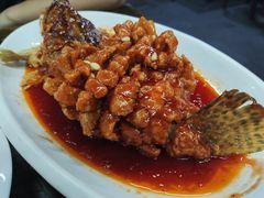 松鼠桂鱼-协和菜馆(凤凰街店)