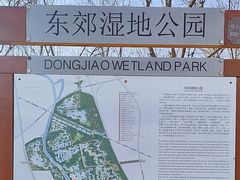 -东郊湿地公园