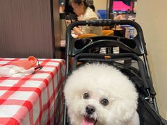 -江味龙虾馆·裸蓝龙虾(南山店)