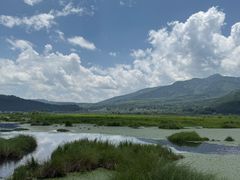 -腾冲北海湿地