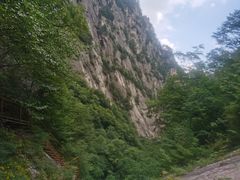 -青峰峡国家森林公园