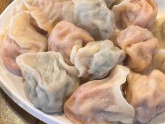 猪肉茴香-宝源饺子(麦子店街店)
