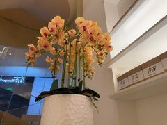 -左右Massage/Spa(长寿路店)