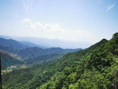 -王顺山国家森林公园