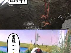 -成都动物园