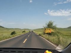 -乌兰布统草原