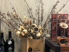 -熙阁咖啡Segnal(时代中心店)