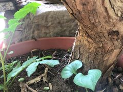 -三峡古玩城(泰古广场店)