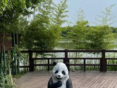 -苏州太湖国家湿地公园