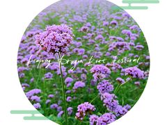 -杭州城北体育公园