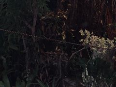 -自然餐厅(Phuket)