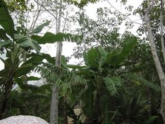 -呀诺达热带雨林