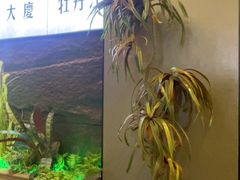 -7号院家宴.烧鸽子(门头沟店)