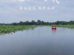 -上海海湾国家森林公园