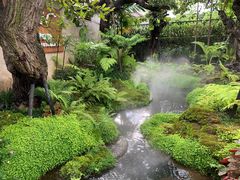 -Chom Cafe and Restaurant