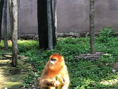 -贵州森林野生动物园