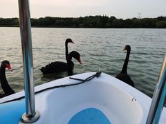 -昆山城市生态森林公园