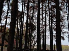 -东湖落雁景区