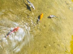 -江宁织造博物馆