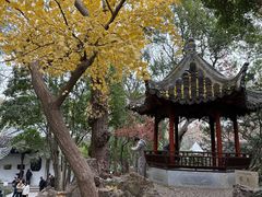 -秋霞圃