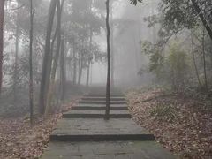 -缙云山景区