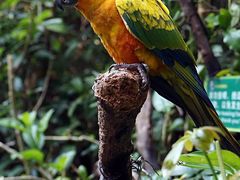 -广州长隆野生动物世界