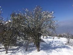 -太子岭滑雪场