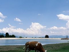 -玉湖村