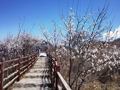 -妙峰山风景名胜区