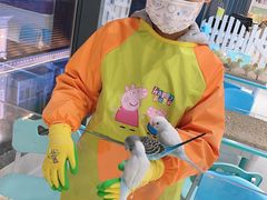 -怪兽屋·羊驼·猫咖·狗咖(俊华广场店)