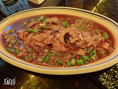 -张鸟园农家乐(张鸟园店)