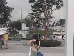 -宝安西湾红树林湿地公园