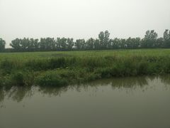 -微山湖红荷湿地景区