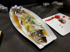 鲜蒸太湖大白鱼-蟹榭·莳鲜(虹桥高岛屋店)