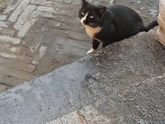 -西安化觉巷清真大寺