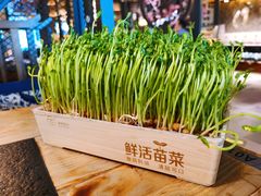 活豆苗-湊湊火锅·茶憩(上海合生汇店)