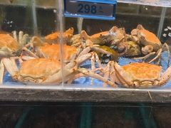 -青蓬蒸汽海鲜·深圳老字号·团建聚会(壹方城店)