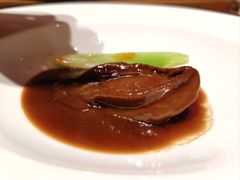 -广州富力君悦大酒店空中花园