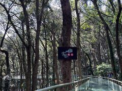-富春桃源风景区