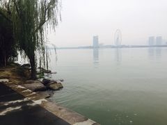 -蠡湖大桥公园